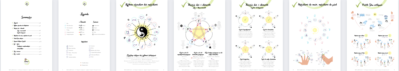 Principes De Médecine Traditionnelle Chinoise : 10 Fiches PDF – Le ...