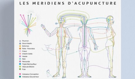 poster acupuncture planche meridiens de médecine chinoise