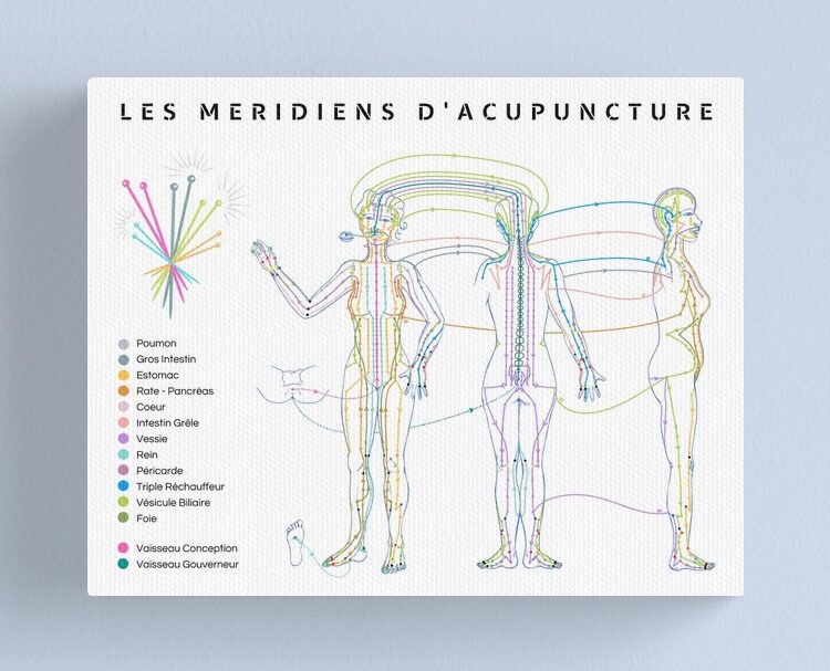 poster acupuncture trajet des méridiens, planche méridiens, carte des méridiens médecine chinoise
