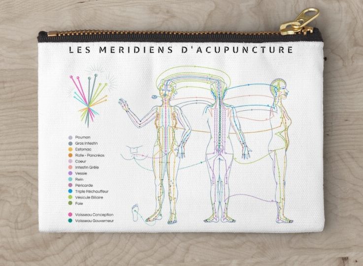 cadeau acupuncture trajet des méridiens, planche méridiens, carte des méridiens médecine chinoise, trousse de rangement des aiguilles pour l'acupuncteur, 12 méridiens du corps humain