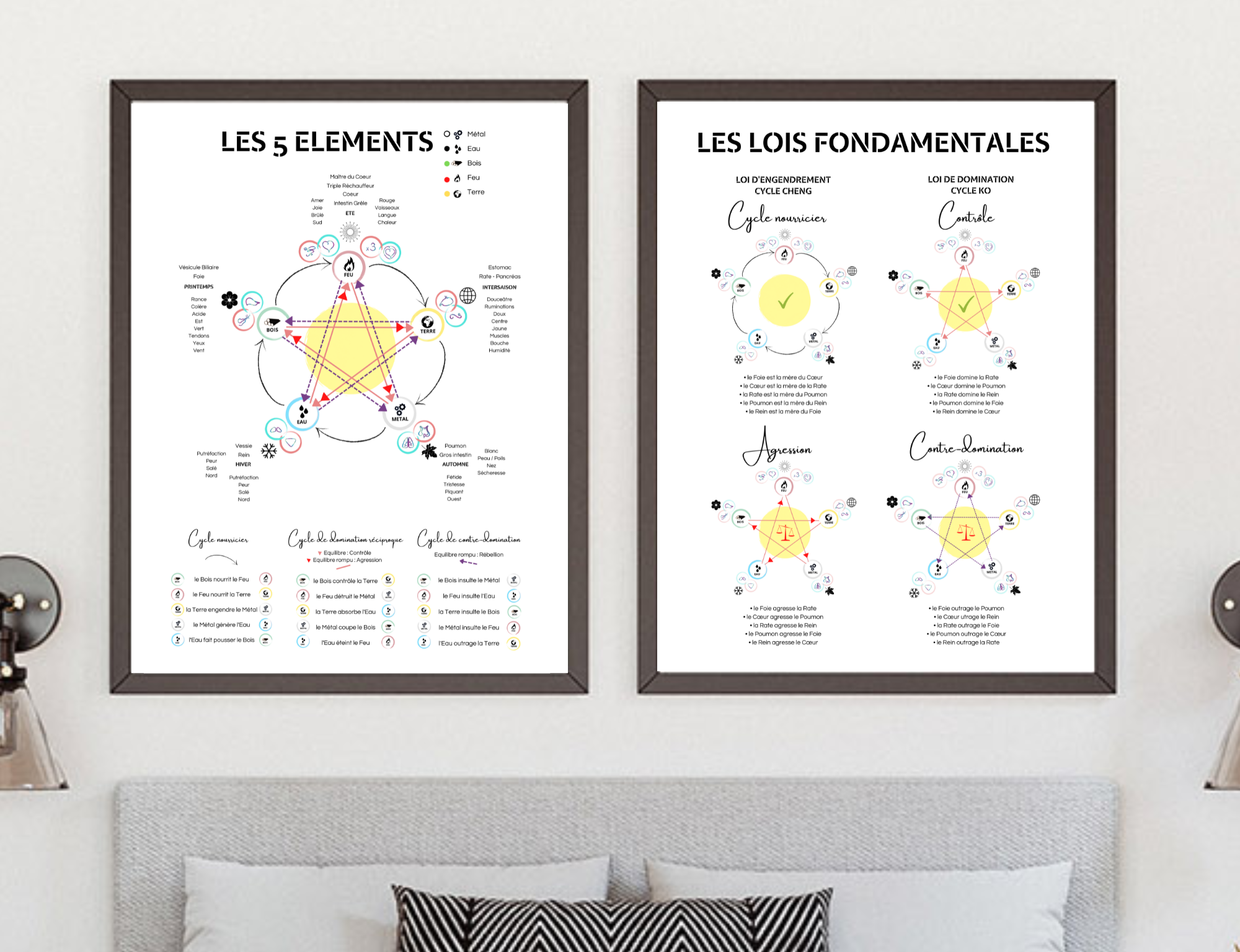 Les 5 éléments : poster et PDF de médecine chinoise
