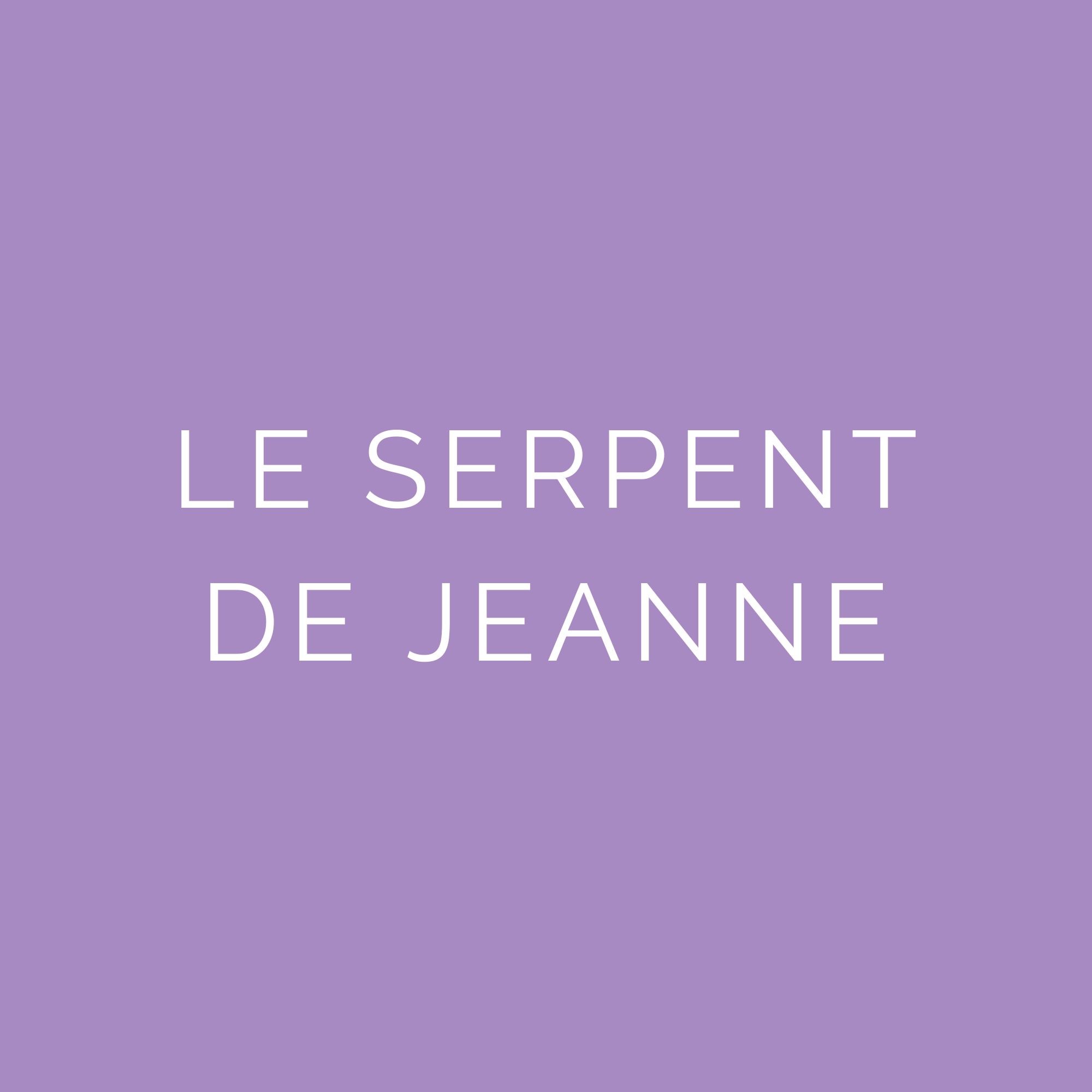 boutique le serpent de jeanne