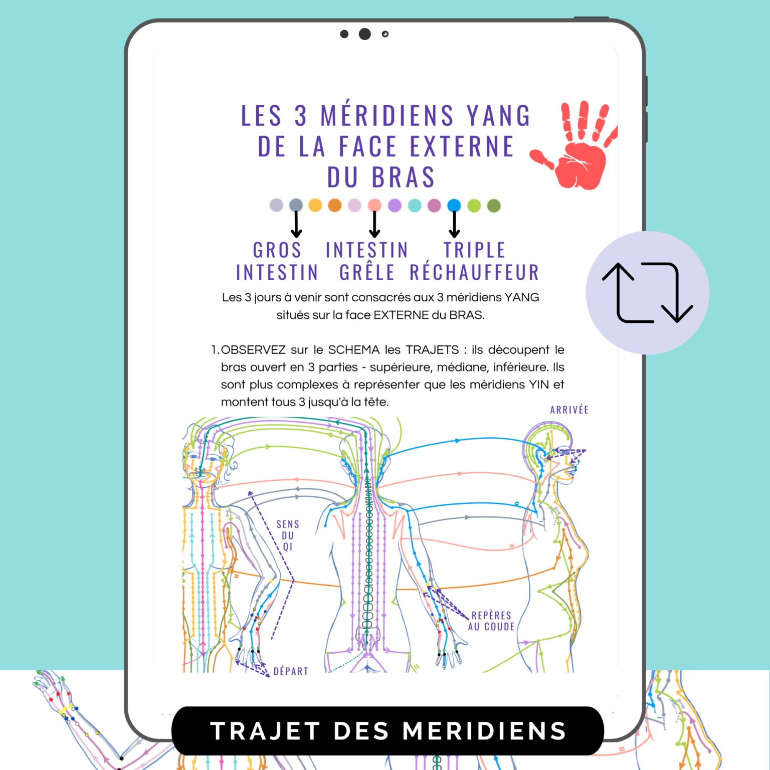 14 Meridiens Pdf Fiches Complètes Théorie Trajet Apprendre Le Trajet Des Méridiens En 12