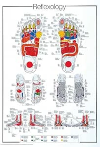 affiche réflexologie pieds
