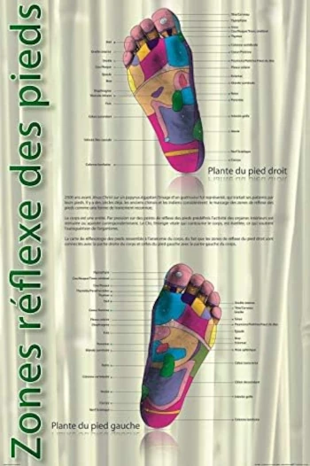 Posters de réflexologie plantaire avec les zones réflexes