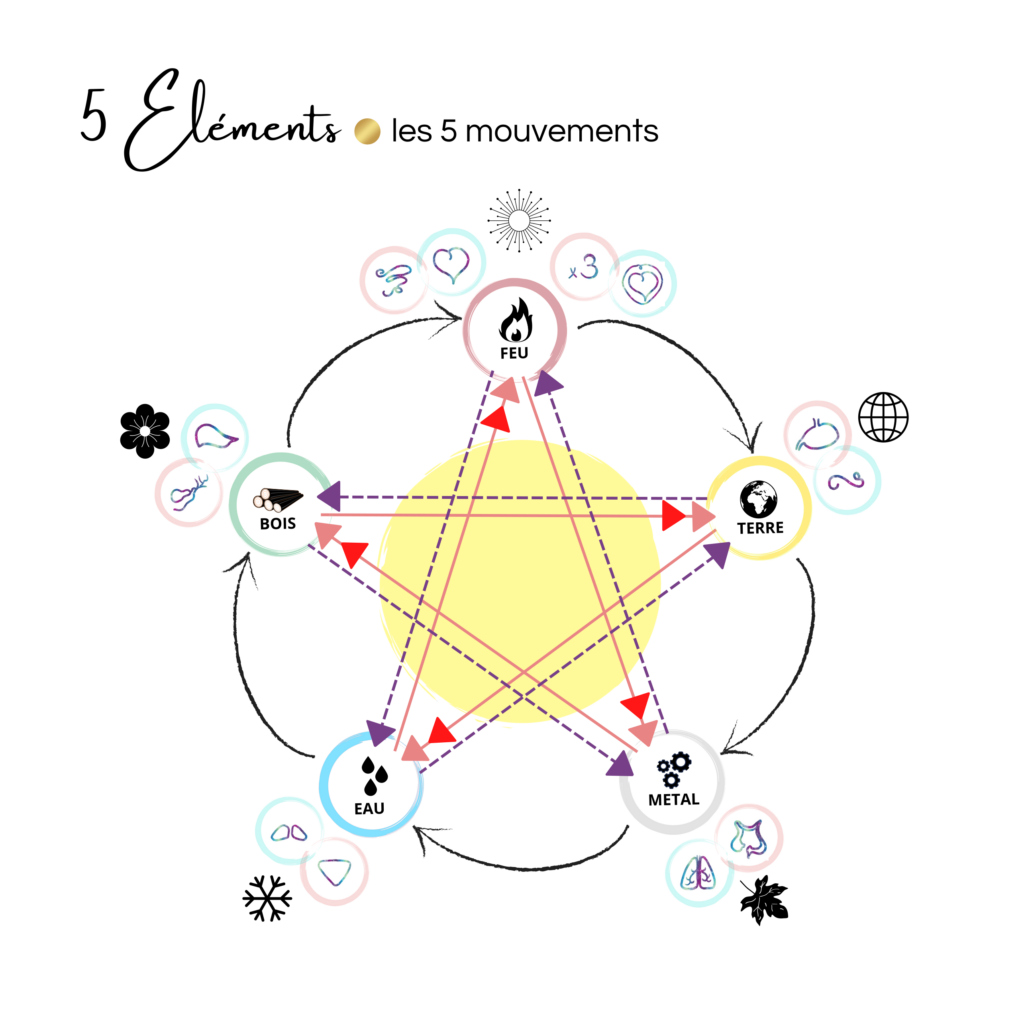 carte des méridiens du jeu J'MTC : schéma des Cinq éléments,  les 5 mouvements ou 5 saisons de médecine chinoise