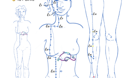 méridien de l'estomac médecine chinoise trajet des méridiens