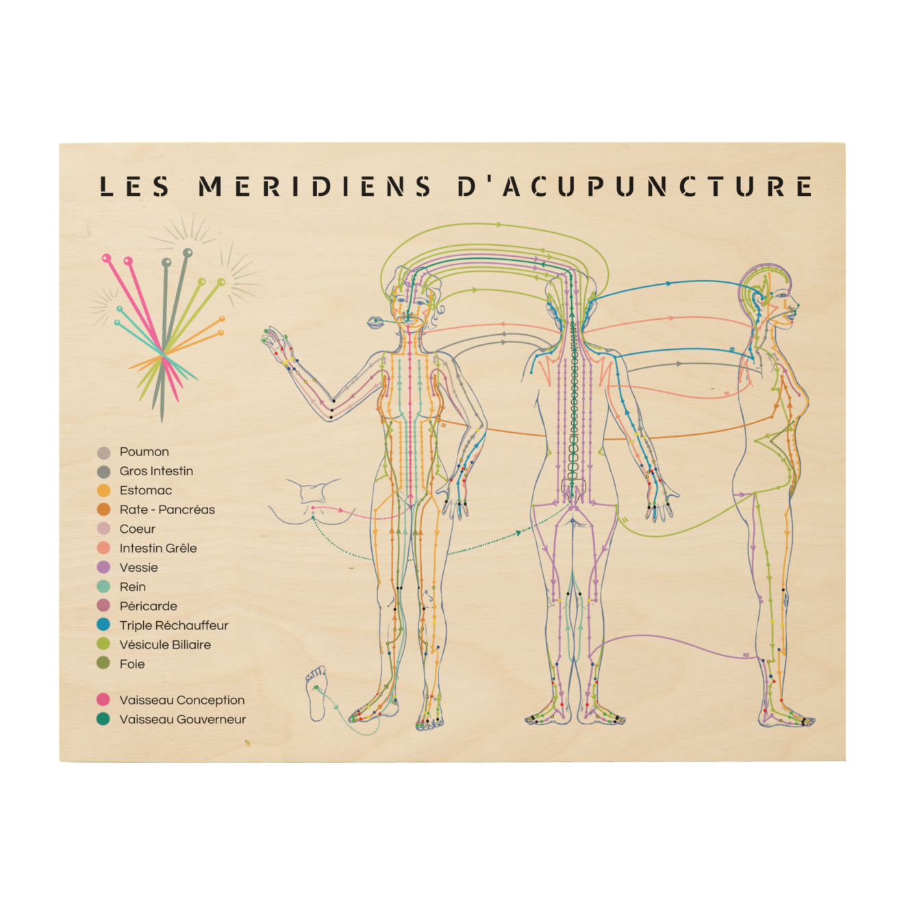 poster 12 méridiens acupuncture