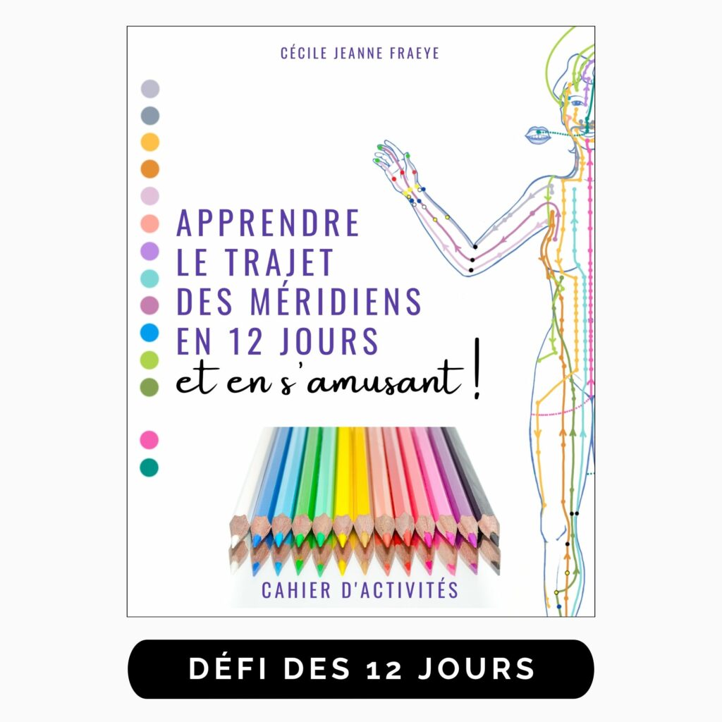 apprendre le trajet des méridiens en 12 jours livre de médecine chinoise