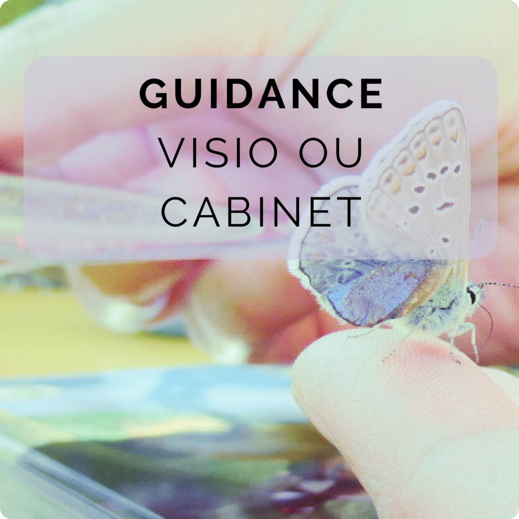 guidance-tarot-visio-cabinet-tirage-de-cartes
