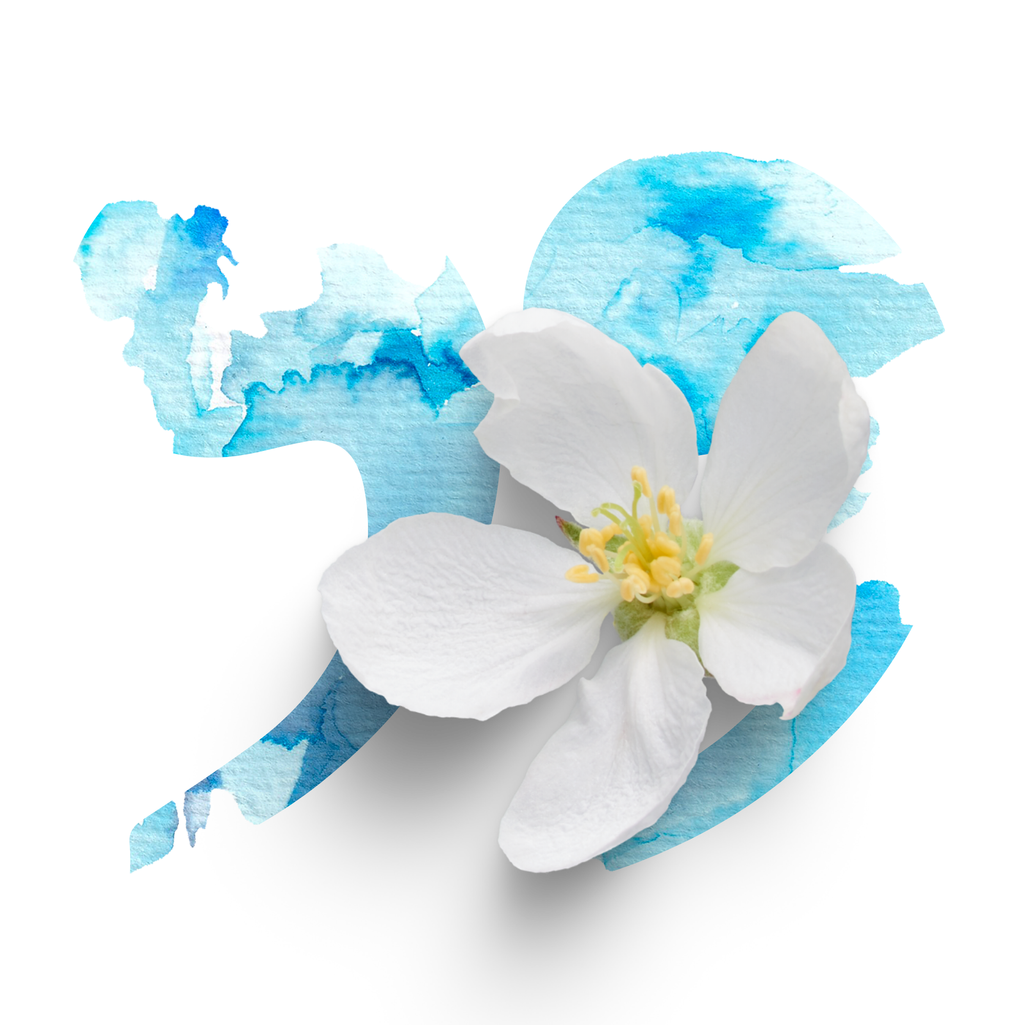 guidances-tarot-cartomancie