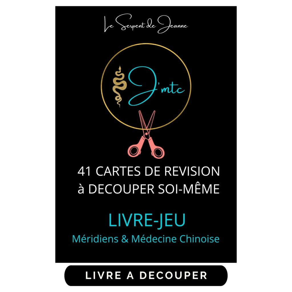livre acupuncture énergétique trajet des méridiens de MTC