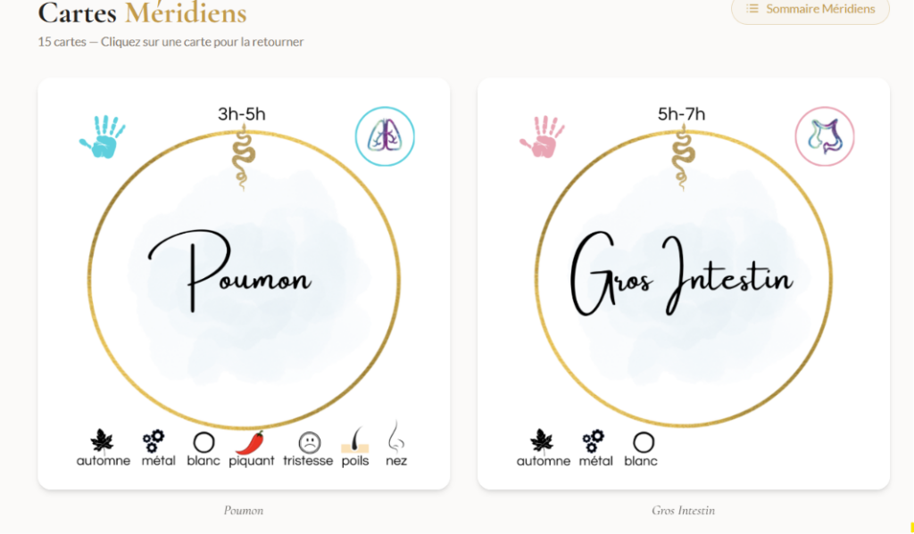 trajet des méridiens energie app gratuite médecine chinoise